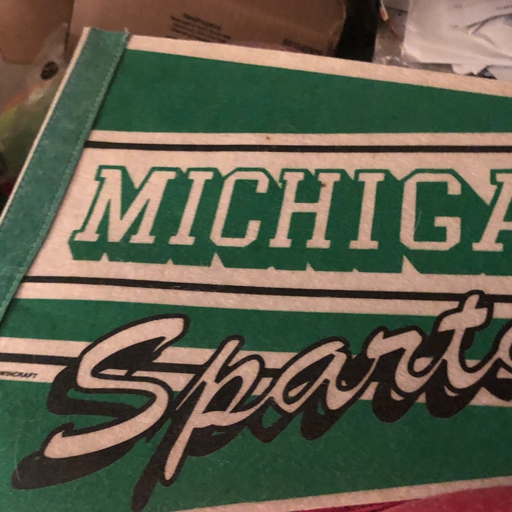 STATE Green and White Pennant